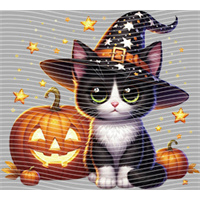 Halloween-WS 5745